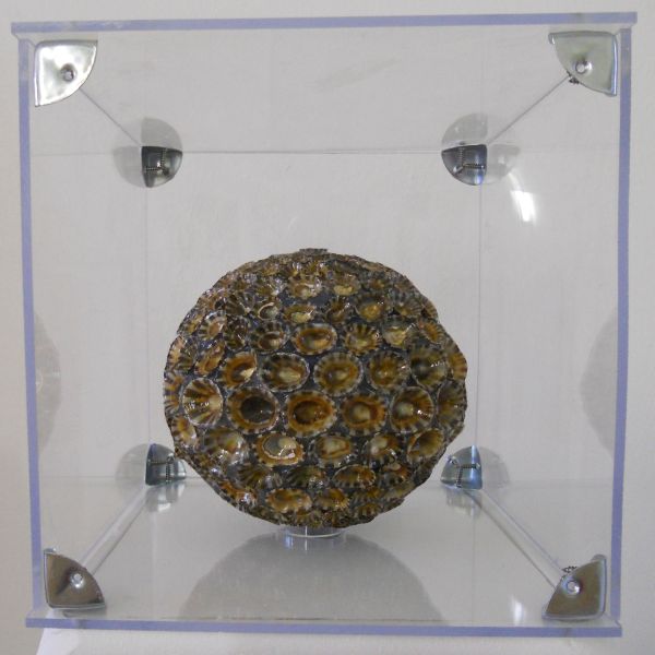 MW 06 (Normale Auflösung)